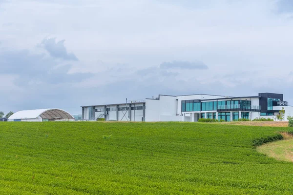 Zealong Theehuis Hamilton Nieuw Zeeland — Stockfoto