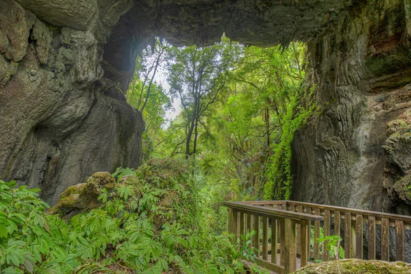 Přírodní Most Mangapohue Novém Zélandu — Stock fotografie