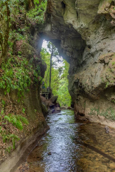 Mangapohue Natural Bridge Στη Νέα Ζηλανδία — Φωτογραφία Αρχείου