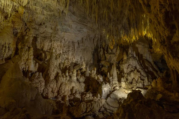 Cueva Ruakuri Nueva Zelanda —  Fotos de Stock