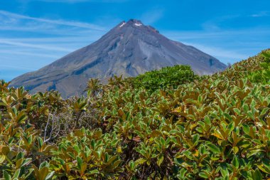 Mt. Taranaki Yeni Zelanda 'da güneşli bir günde izledi