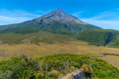 Ahukawakawa Bataklığı Yeni Zelanda Egmont Ulusal Parkı 'nda Taranaki Dağı' nın altında.