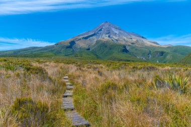 Ahukawakawa Bataklığı Yeni Zelanda Egmont Ulusal Parkı 'nda Taranaki Dağı' nın altında.