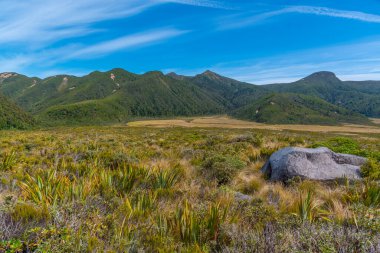 Ahukawakawa Bataklığı Yeni Zelanda Egmont Ulusal Parkı 'nda Taranaki Dağı' nın altında.