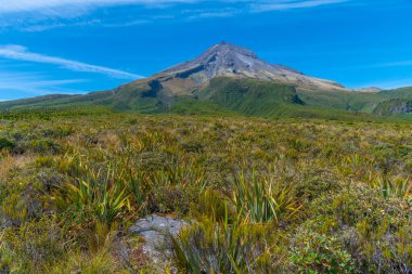 Ahukawakawa Bataklığı Yeni Zelanda Egmont Ulusal Parkı 'nda Taranaki Dağı' nın altında.