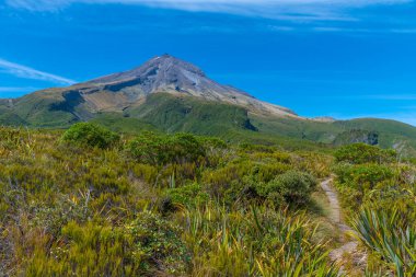 Ahukawakawa Bataklığı Yeni Zelanda Egmont Ulusal Parkı 'nda Taranaki Dağı' nın altında.