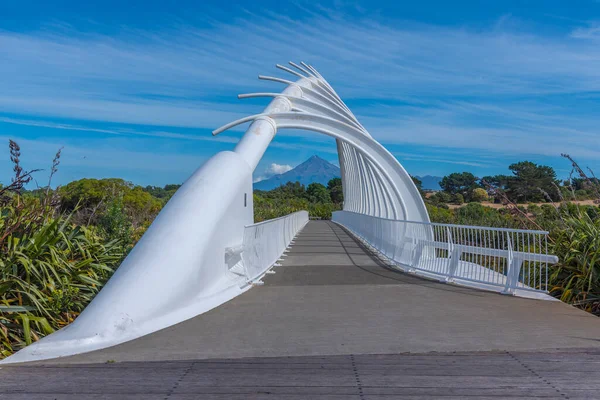 Taranaki Viewed Rewa Rewa Bridge New Plymouth New Zealand — Stock Photo, Image