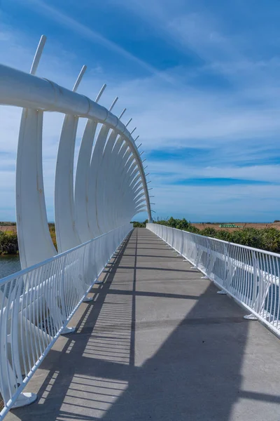 Rewa Rewa Brug Bij New Plymouth Nieuw Zeeland — Stockfoto