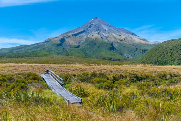 Pantano Ahukawakawa Bajo Monte Taranaki Parque Nacional Egmont Nueva Zelanda —  Fotos de Stock
