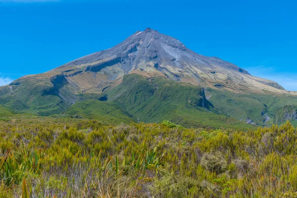 Βάλτος Ahukawakawa Κάτω Από Βουνό Taranaki Στο Εθνικό Πάρκο Egmont — Φωτογραφία Αρχείου