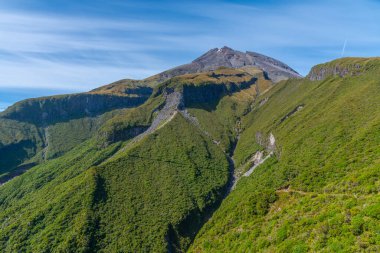 Ahukawakawa Bataklığı Yeni Zelanda Egmont Ulusal Parkı 'nda Taranaki Dağı' nın altında.