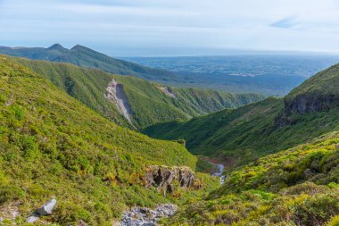Yeni Zelanda 'daki Taranaki Dağı' nın yeşil yamacı.