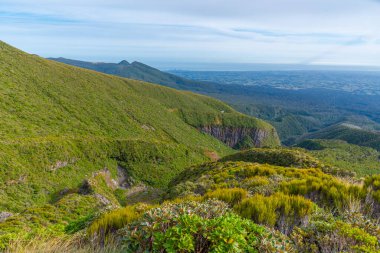 Yeni Zelanda 'daki Taranaki Dağı' nın yeşil yamacı.