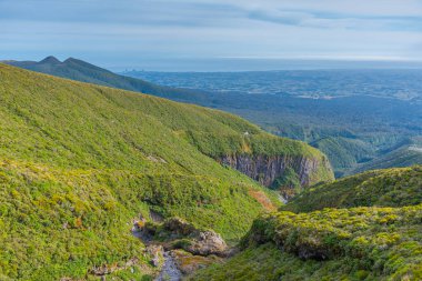 Yeni Zelanda 'daki Taranaki Dağı' nın yeşil yamacı.