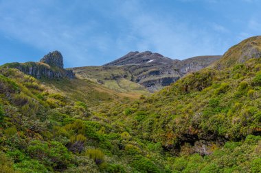 Yeni Zelanda 'daki Taranaki Dağı' nın yeşil yamacı.