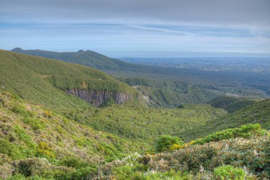 Yeni Zelanda 'daki Taranaki Dağı' nın yeşil yamacı.