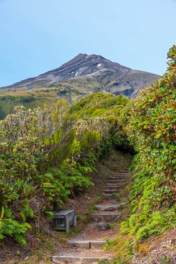 Mt. Taranaki viewed during a sunny day at New Zealand clipart