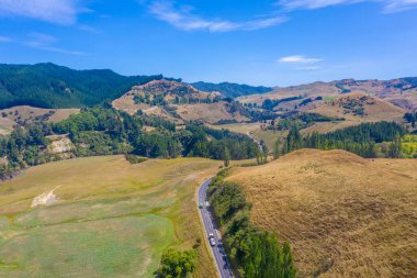 Yeni Zelanda 'daki Kuzey Adası kırsal alanından geçen yol