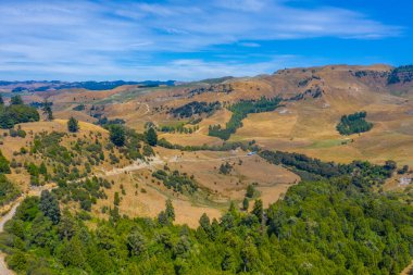 Yeni Zelanda 'daki Kuzey Adası' nın Hilly manzarası