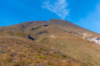 Yeni Zelanda 'daki Tongariro Dağı' nın yeşil yamacı.
