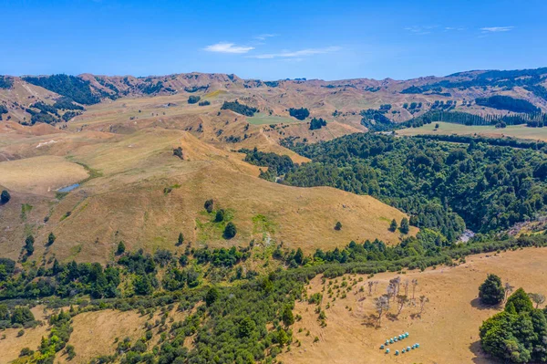 Hilly Krajobraz Wyspy Północnej Nowej Zelandii — Zdjęcie stockowe