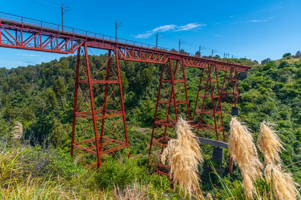 Makatote Viaduct New Zealand — Stock Photo, Image