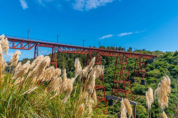 Makatote Viaduct New Zealand — Stock Photo, Image
