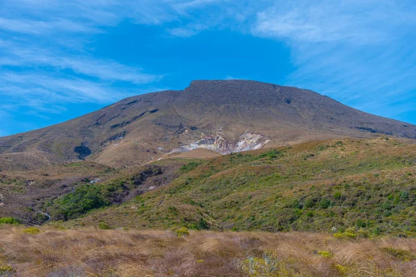 新西兰Tongariro山的绿坡 — 图库照片