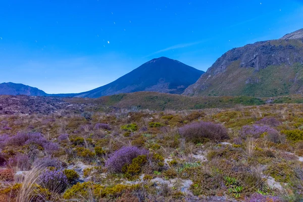 Ngauruhoe Dağı Yeni Zelanda Daki Tongariro Ulusal Parkı Nda — Stok fotoğraf