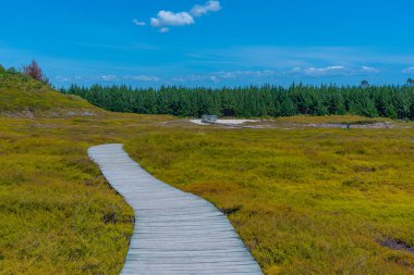 Ay kraterleri - Yeni Zelanda 'da bir jeotermal manzara