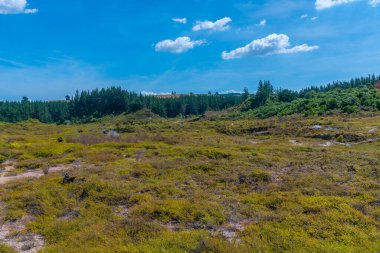 Ay kraterleri - Yeni Zelanda 'da bir jeotermal manzara