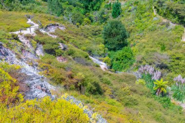Yeni Zelanda 'daki Wairakei termal vadisinin jeotermal manzarası