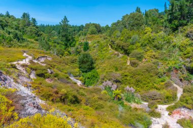 Yeni Zelanda 'daki Wairakei termal vadisinin jeotermal manzarası