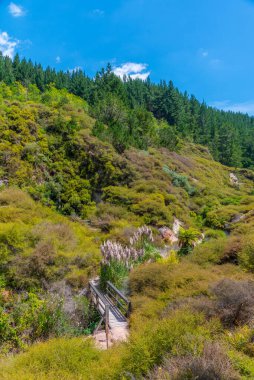 Yeni Zelanda 'daki Wairakei termal vadisinin jeotermal manzarası