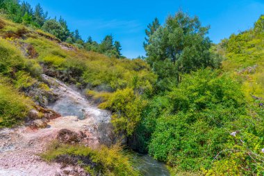 Yeni Zelanda 'daki Wairakei termal vadisinin jeotermal manzarası