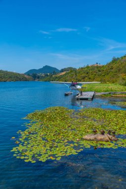 Yeni Zelanda 'daki Waikato nehrinde bir deniz uçağı.