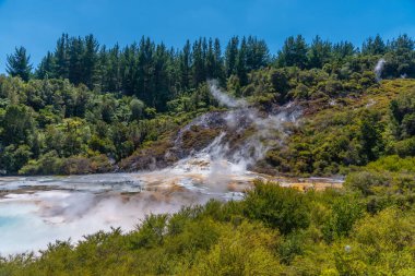 Yeni Zelanda 'daki Orakei Korako' da sanatçı paleti silis terası.