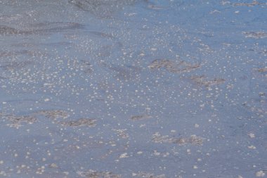 Yeni Zelanda 'daki Cehennem Kapısı Jeotermal rezervindeki çamur havuzunun ayrıntıları.
