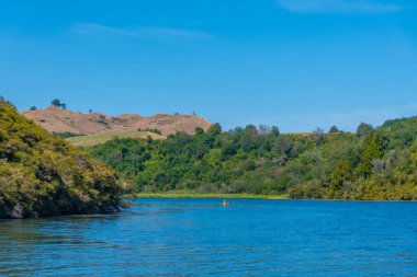 Waikato nehri Yeni Zelanda 'da