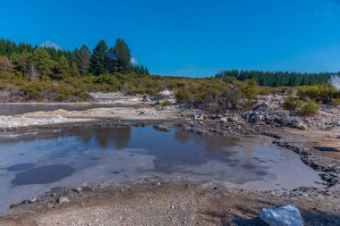 Yeni Zelanda 'daki Cehennem Kapısı Jeotermal Rezervi