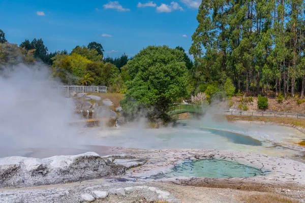 Geyser Στο Wairakei Terraces Στη Νέα Ζηλανδία — Φωτογραφία Αρχείου