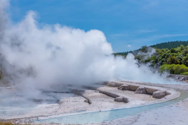 Geyser Στο Wairakei Terraces Στη Νέα Ζηλανδία — Φωτογραφία Αρχείου