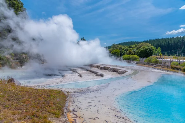 Geyser Wairakei Terrace Zélandon — Stock Fotó