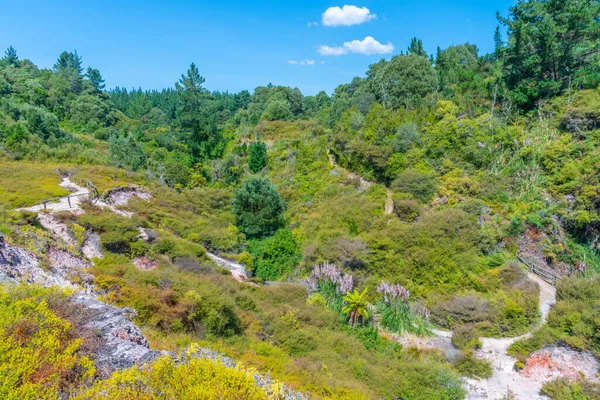 Paesaggio Geotermico Della Valle Termale Wairakei Nuova Zelanda — Foto Stock