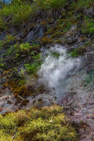 Geotermisk Landskap Wairakei Termisk Dal Nya Zeeland — Stockfoto