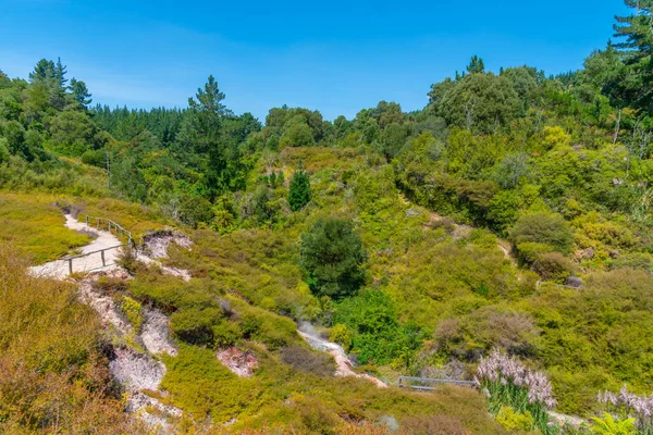 Wairakei Termálvölgyének Geotermikus Tájképe Zélandon — Stock Fotó