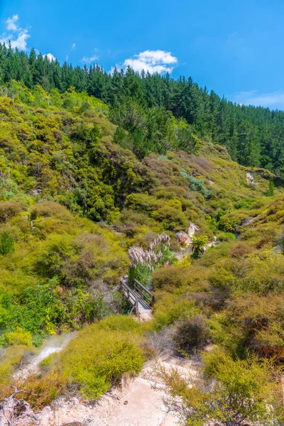 Paisagem Geotérmica Vale Termal Wairakei Nova Zelândia — Fotografia de Stock