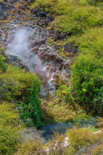 Fumaroly Termálním Údolí Wairakei Novém Zélandu — Stock fotografie