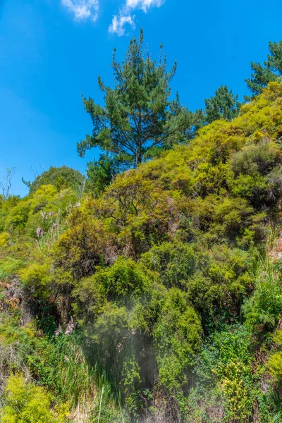 Yeni Zelanda 'daki Wairakei termal vadisinin jeotermal manzarası