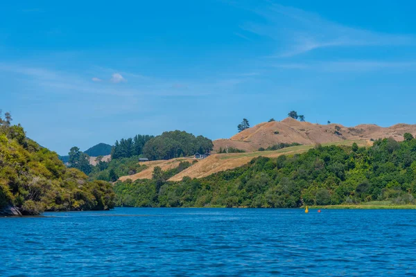 Río Waikato Nueva Zelanda —  Fotos de Stock